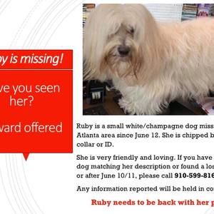 Meet your Posher, Melody